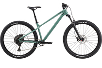 Cannondale Habit HT 3 29" MTB JADE