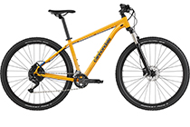 Cannondale Trail 5 MTB 2023 MANGO