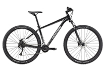 Cannondale Trail 7 MTB 2021/2022 GUINNESS BLACK
