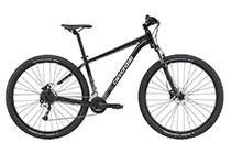 Cannondale Trail 7 MTB GUINNESS BLACK