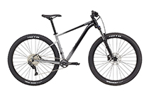 Cannondale Trail SE 4 MTB 2022 GREY