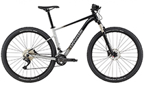 Cannondale Trail SL 4 MTB 2021/2022 GREY