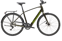 Diamant 365 Deluxe Herren 250Wh E-Bike 2023 OXIDGRÜN METALLIC