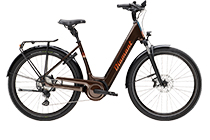 Diamant Mandara 160 545Wh Tief E-Bike Trekking BERNINABRAUN METALLIC