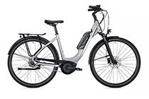 Falter E 9.0 FL Wave 500Wh E-Bike 2022 TITANIUM