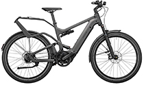 Riese + Müller Delite GT rohloff E-Bike 625Wh URBAN GREY MATT