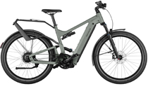 Riese & Müller Delite4 GT vario E-Bike 750Wh 2024 TUNDRA GREY MATT