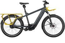 Riese + Müller Multicharger GT mixte rohloff 625Wh UTILITY GREY/ CURRY MATT