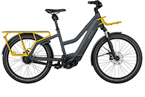 Riese + Müller Multicharger Mixte GT vario 750Wh E-Bike 2022 UTILITY GREY/ CURRY