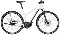 Riese & Müller Roadster4 Mixte vario T 625Wh E-Bike 2025 45cm SALVIA MATT