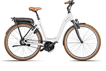 Riese + Müller Swing vario 500Wh E-Bike CRYSTAL WHITE