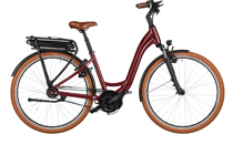 Riese & Müller Swing4 vario 500Wh E-Bike Kiox BORDEAUX