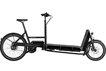 Riese + Müller Transporter2 85 vario 725Wh E-Cargo BLACK