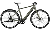 Riese + Müller UBN Five Single Speed 430Wh E-Bike SELVA