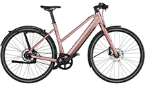 Riese + Müller UBN Seven silent 430Wh E-Bike ROSE