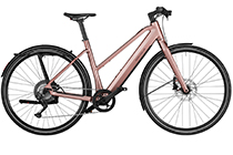 Riese + Müller UBN Seven touring 430Wh E-Bike ROSE