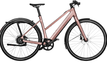Riese + Müller UBN Seven vario 430Wh E-Bike ROSE
