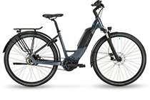 Stevens E-Brione Forma 500Wh Pedelec ARCTIC GREY